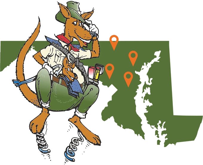 service-area-01